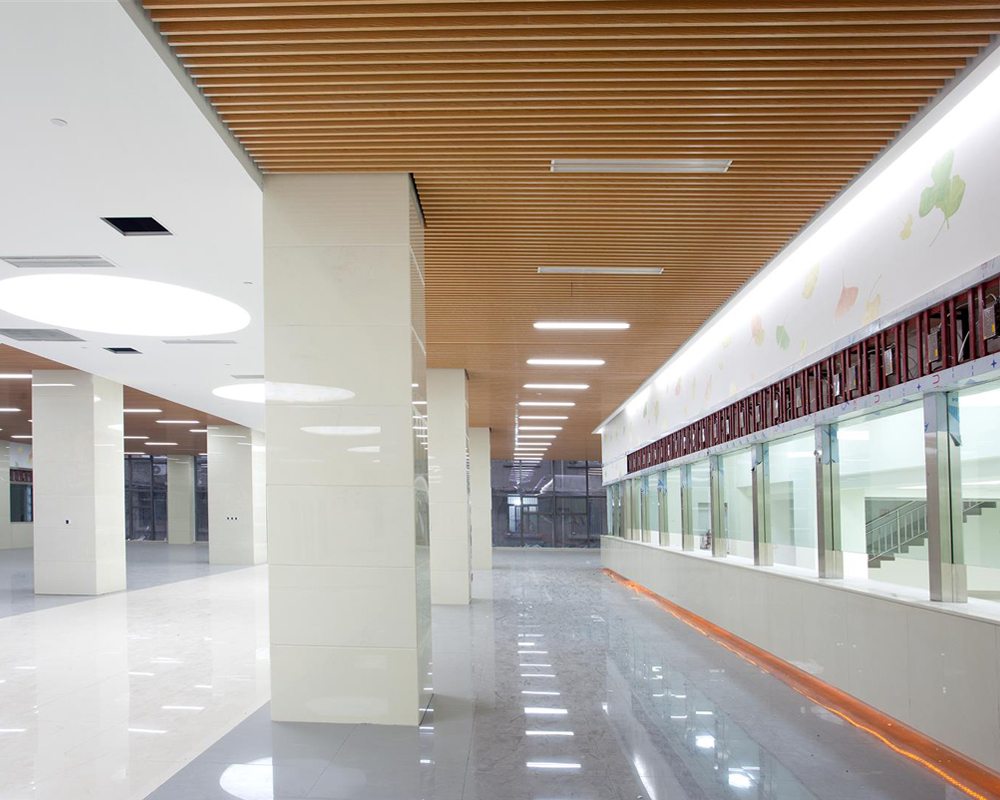 Baffle Cell Ceilings